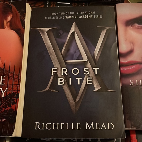 Vampire Academy - Picture 2 of 3